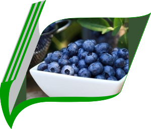 Fresh&Frozen blueberry